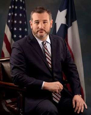 Anadolu Ajansi: Senatorul american Ted Cruz îl îndeamnă pe Trump să înarmeze protestatarii iranieni